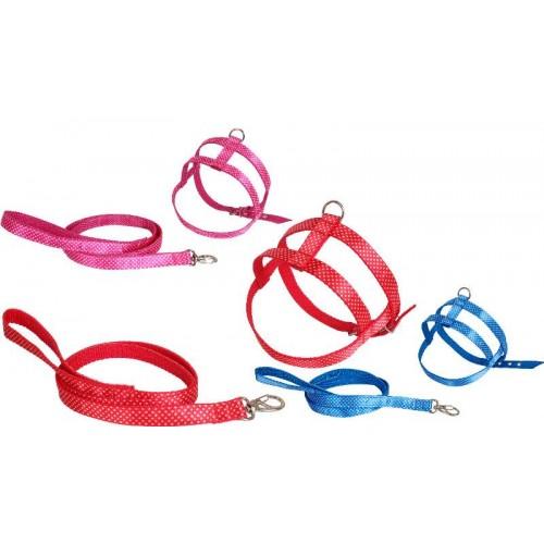 CONJ GUIA PEITORAL PAETE N 5