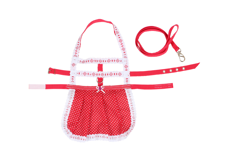 CONJ GUIA PEITORAL VESTIDO N 4