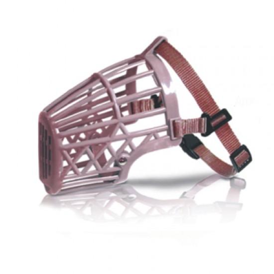 FOCINHEIRA IMPORTADA N6