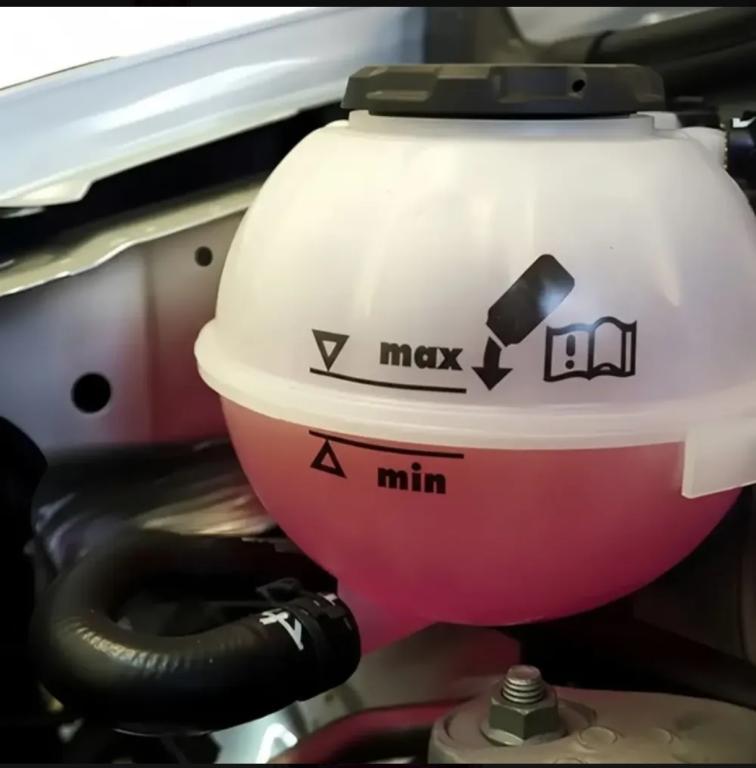 PROTETIVO ROSA PARA RADIADOR - 1LT (EMB. C/6)