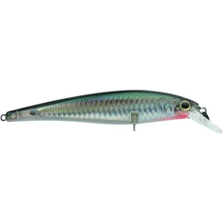 ISCA SAVAGE 12CM COR T005
