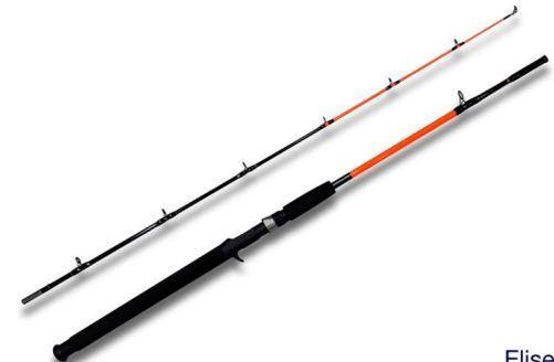 Vara Eliseo 1.90m 30-60lbs (2 Partes) Para Carretilha