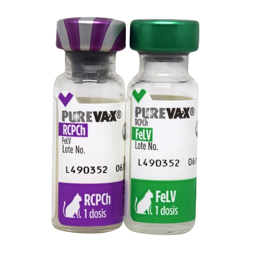VACINA V5 PUREVAX RCPCH FELV 0,5 ML