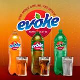 REFRIGERANTE EVOKE GUARANA 2L