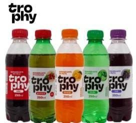 TROPY MINI 250  ML LARANJA