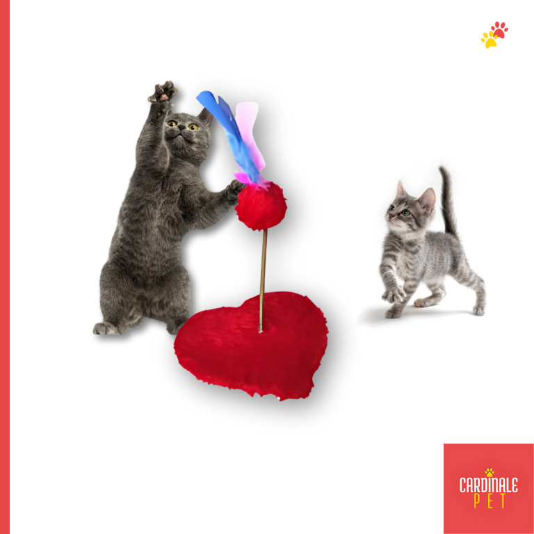 BRINQ P/GATO MOLA CORACAO YAN PET