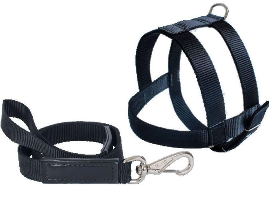 CONJ GUIA PEIT NYLON DUPLO N.07