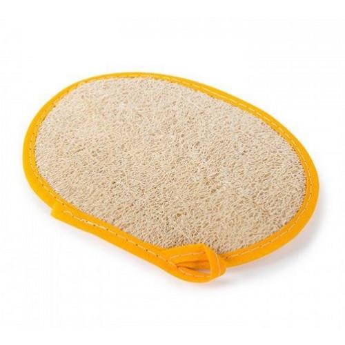 -BUCHA VEGETAL ENCARTELADA BLISTER LIMPA MAIS