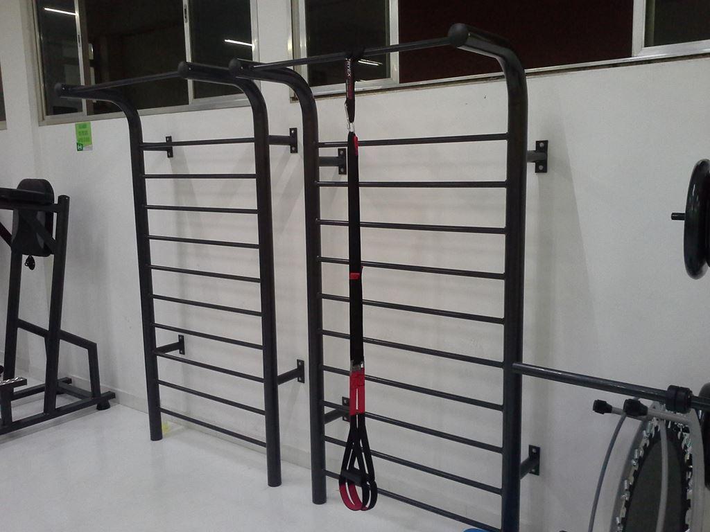 Espaldar Aço
