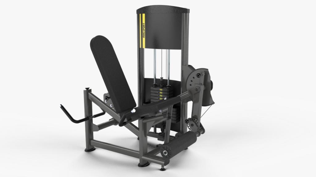 Ext. / Flex. Sentada Conjugada (60 KG)