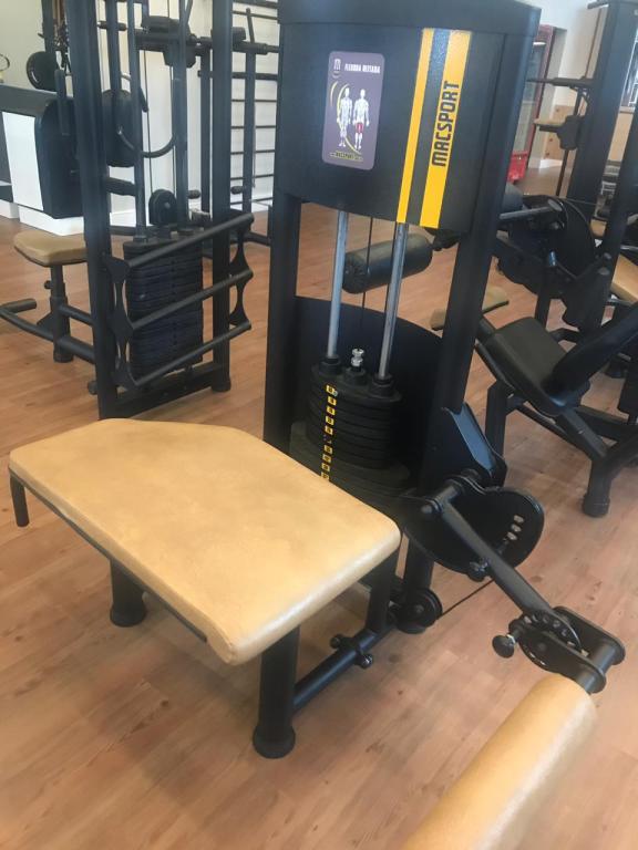 Flexora Deitada (60 KG)