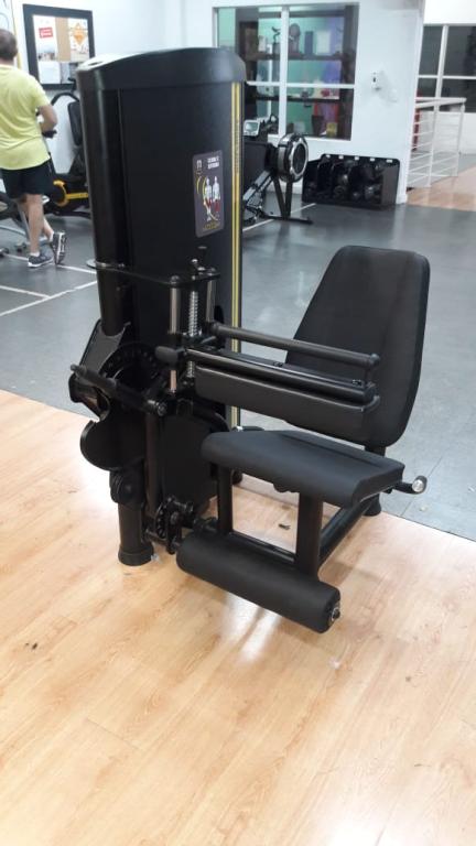 Ext. / Flex. Sent. Conj. (100 KG) c/ Rapid Fire
