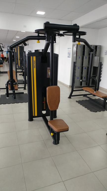 Fly c/ Dorsal (100 KG)