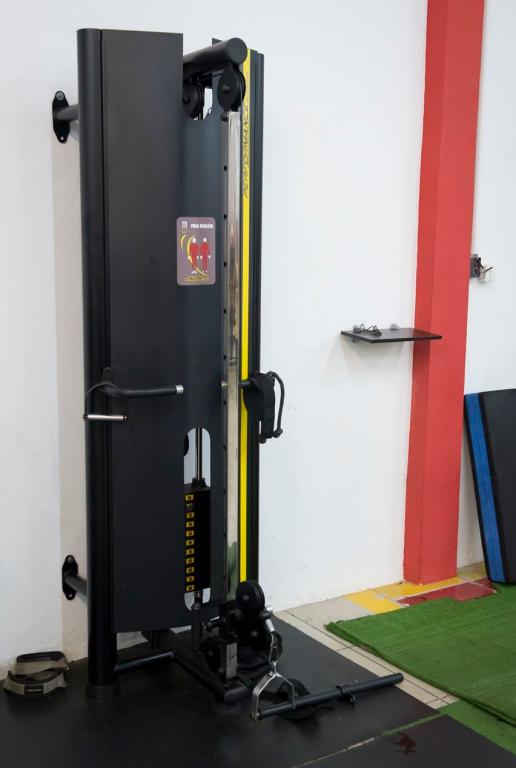 Polia Regulavel Simples (100 KG)