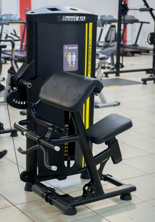 Bíceps Máquina (60 KG)
