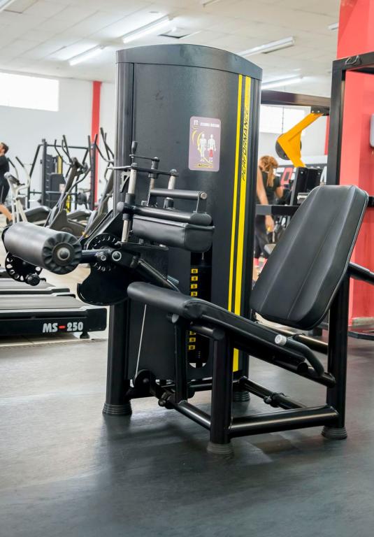 Flexora Sentado (80 KG)