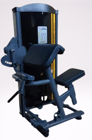 Bíceps Máquina (80 KG)