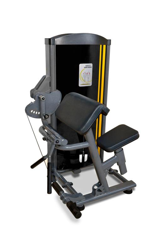 Bíceps Máquina (80 KG)