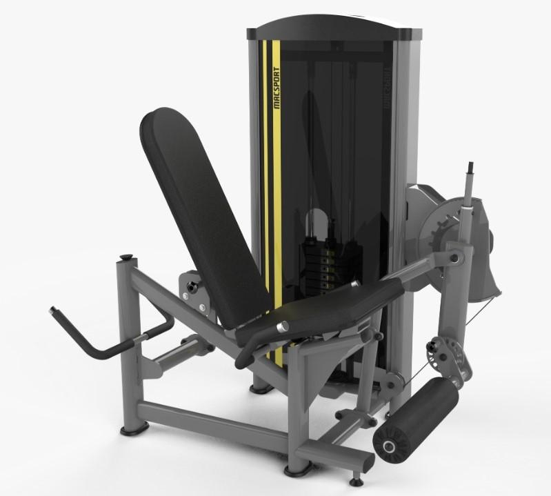 Ext. / Flex. Sent. Conj. (100 KG) c/ Rapid Fire