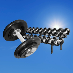 DUMBBELL PEGADA CROM - EMB. 10KG