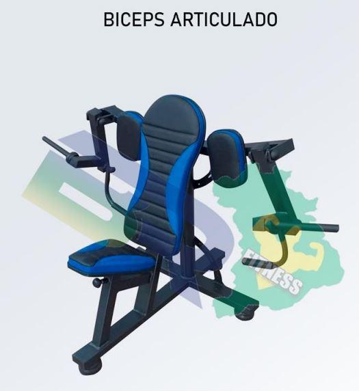 BICEPS ARTICULADO