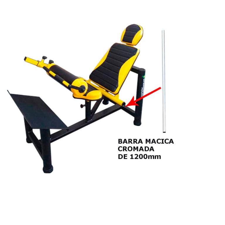 ELEVAÇÃO PELVICA