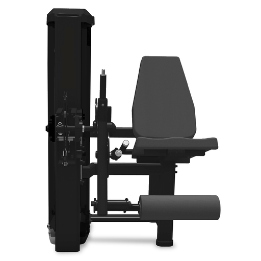 Extensora (100 KG)