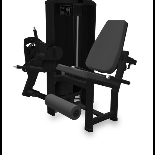 Extensora (100 KG)
