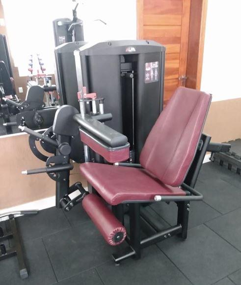 Extensora c/ Flexora Sentada (100 KG)