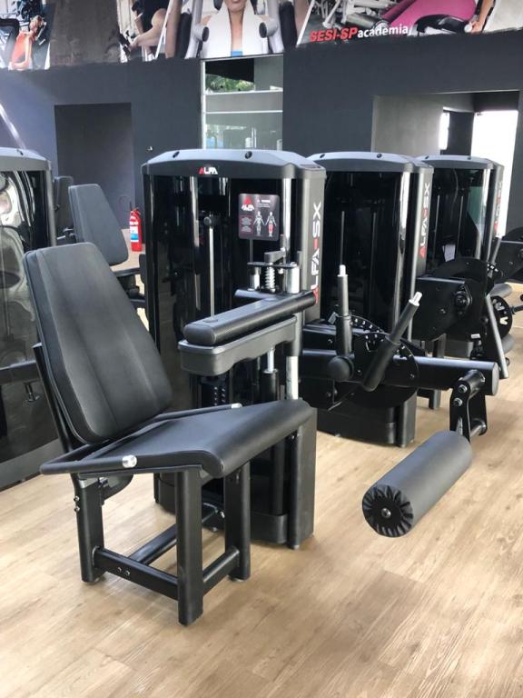 Flexor Sentado (100 KG)