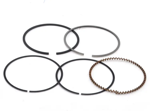 ANEL SEGMENTO STD BIZ125 06-21/FAN125 09-18/BROS125 13-15