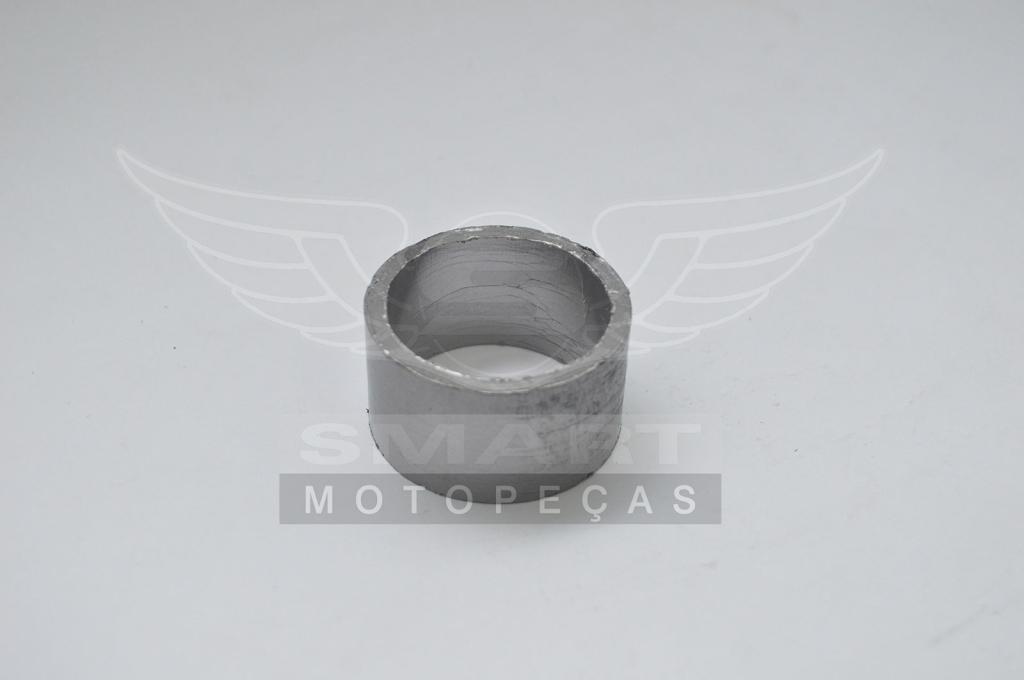 GUARNICAO ESCAPE TORNADO250 01-08/CB300R 09-15/XRE300 10-20