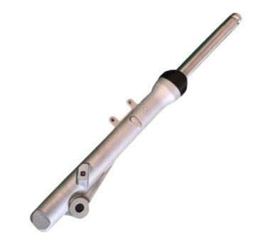 GARFO BENGALA COMP DIR TODAY 89-94/ TTIAN125 95-99