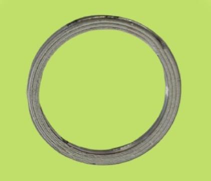 GUARNICAO ESCAPE TWISTER250 01-08