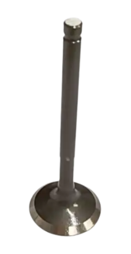 VALVULA ADMISSAO BIZ125 06-24/SKY125 11-15