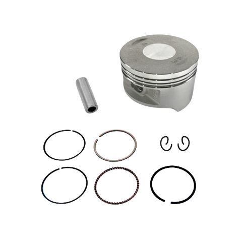 PISTAO C/ ANEIS CRF230F STD