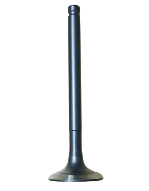 VALVULA ESCAPE AZ1 25-