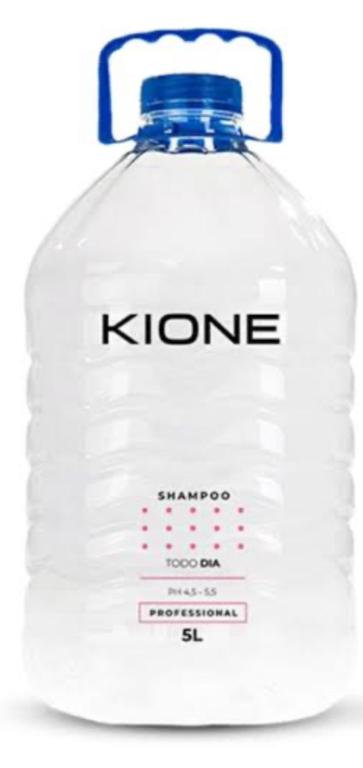 SHAMPOO TODO DIA 5L