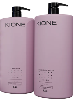 SHAMPOO TODO DIA 2,5L