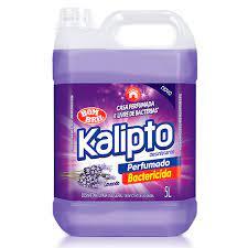 Desinfetante 5 litros