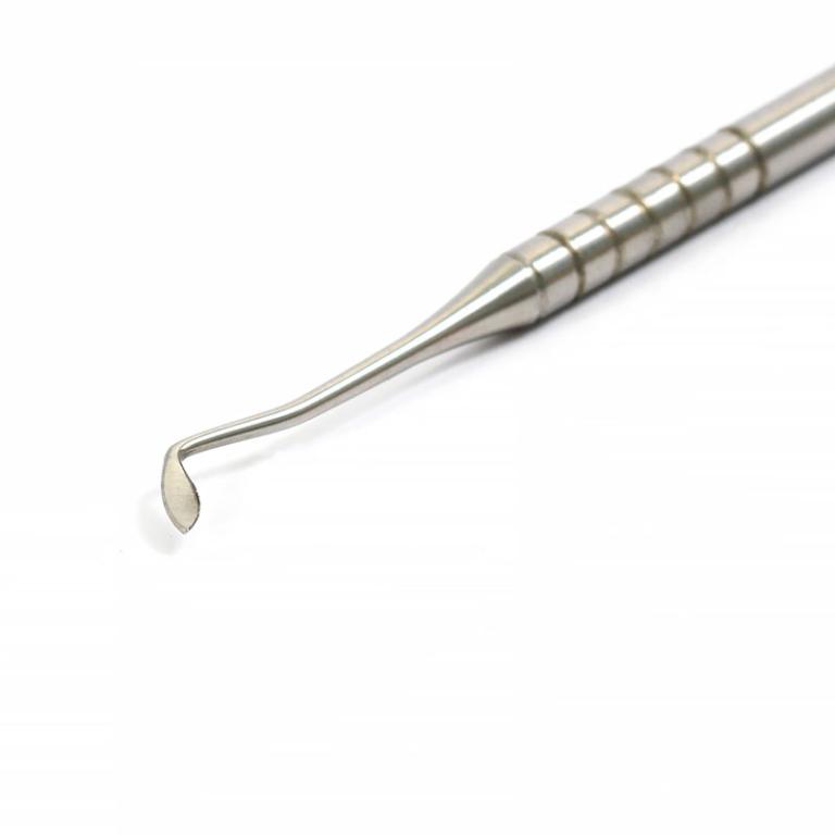 Esculpidor Hollemback 3S - Fava