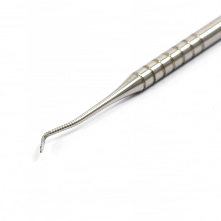 Esculpidor Hollemback 3S - Fava