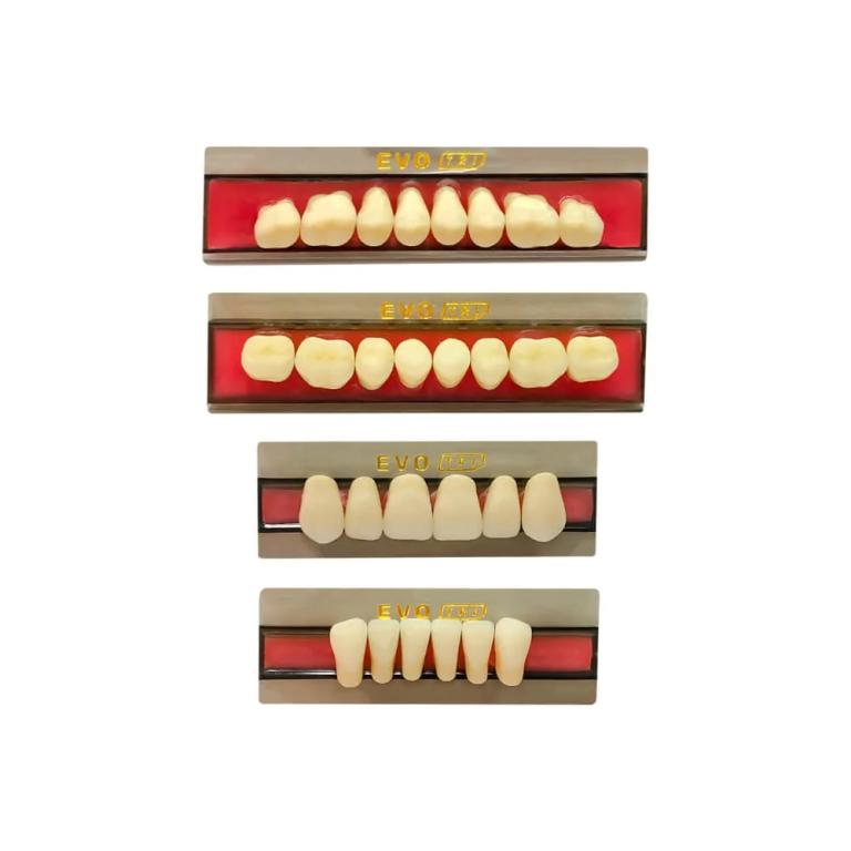 EVOTRI ANTERIOR  L10 I - 1C