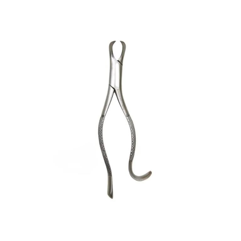 Fórceps Adulto Nº 16 - Wilcos