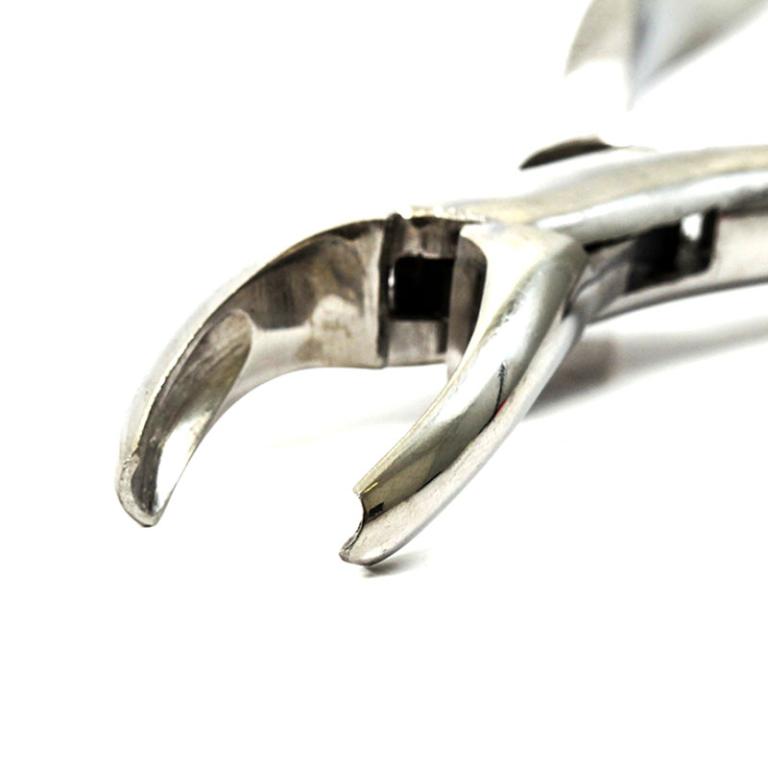 Fórceps Odontológico Adulto Nº 18 L - Golgran