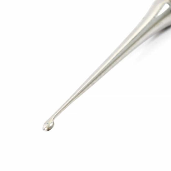 Esculpidor Discoide Cleoide Adulto - Golgran