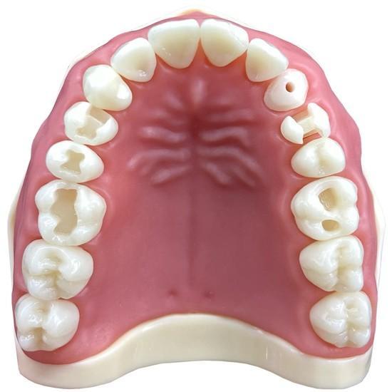 Manequim Materiais Dentários Cód 201 - Orais