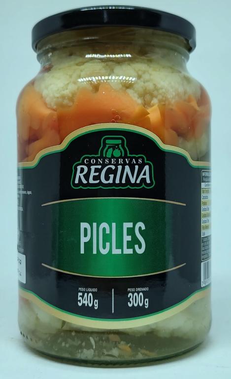 PICLES 300g REGINA