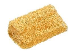 BUCHA BANHO VEGETAL PLASART
