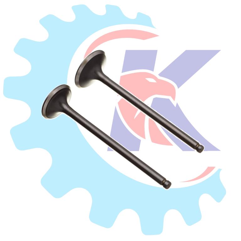 VALVULA ADMISSAO/ESCAPE (PAR) FAN 125 09-18/NXR 125 13-15 WW3
